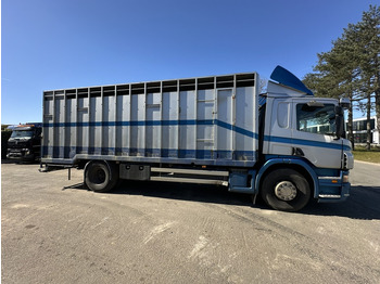 بصندوق مغلق شاحنة Scania P310 4x2 BOX 7m - MANUAL - AIR SUSPENSION - A/C - BELGIAN TRUCK: صور 2
