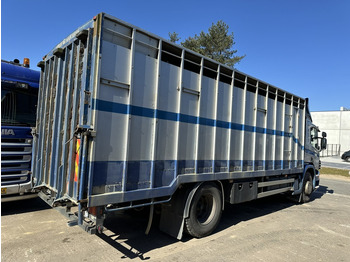 بصندوق مغلق شاحنة Scania P310 4x2 BOX 7m - MANUAL - AIR SUSPENSION - A/C - BELGIAN TRUCK: صور 4
