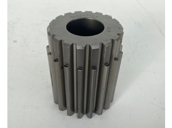 : صورة رأس الصفحة