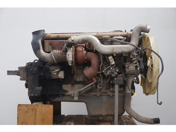 : صورة رأس الصفحة