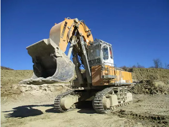 حفارات زحافة LIEBHERR R 974