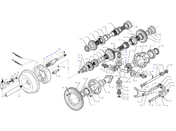: صورة رأس الصفحة