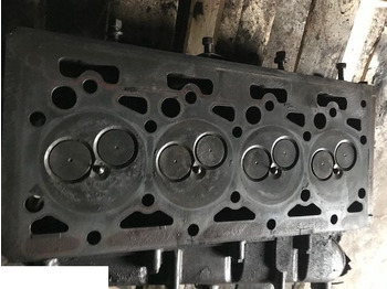 : صورة رأس الصفحة