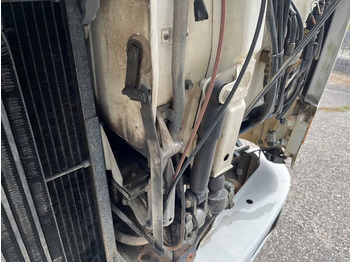 شاحنة جرار Volvo FL 10.320 4X2 TRUCKHEAD FULL STEEL SUSPENSION: صور 4 شاحنة جرار Volvo FL 10.320 4X2 TRUCKHEAD FULL STEEL SUSPENSION: صور 4