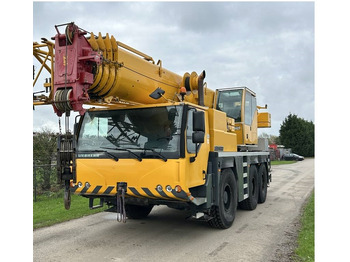 رافعة لجميع التضاريس Liebherr LTM 1055-3.1: صور 3