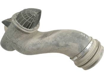 : صورة رأس الصفحة