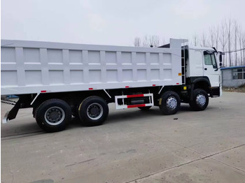 : صورة رأس الصفحة