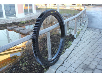 : صورة رأس الصفحة