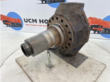 : صورة رأس الصفحة