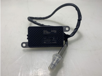 : صورة رأس الصفحة