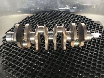 العمود المرفقي Liebherr Crankshaft D924: صور 4