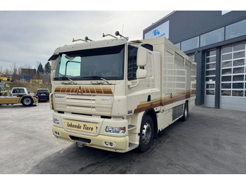 شاحنة نقل خيل DAF CF 410