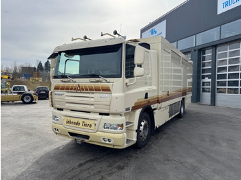 شاحنة نقل المواشي شاحنة DAF CF 410