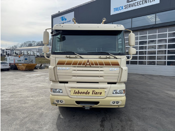 شاحنة نقل المواشي شاحنة DAF CF410 4x2: صور 2