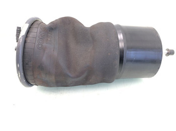 تعليق هوائي DAF