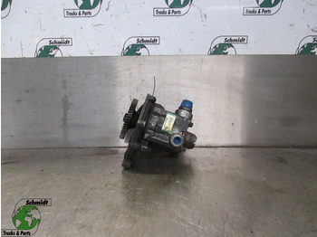 : صورة رأس الصفحة