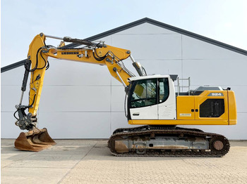 حفارات زحافة LIEBHERR R 924