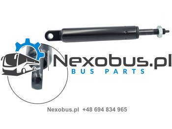 : صورة رأس الصفحة