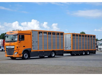 شاحنة نقل المواشي شاحنة DAF XF 460