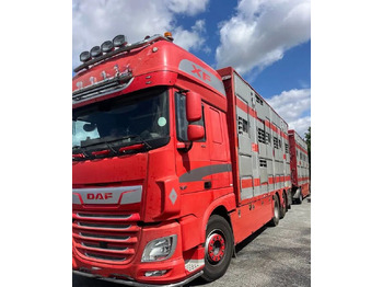 شاحنة نقل المواشي شاحنة DAF XF 530