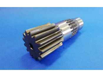 : صورة رأس الصفحة