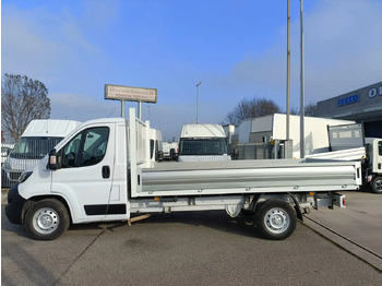 الشاحنات الصغيرة المسطحة FIAT DUCATO 35 L2H1: صور 4