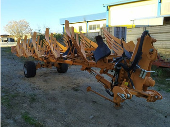 : صورة رأس الصفحة