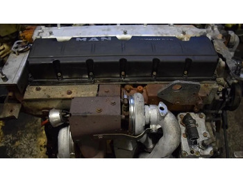 : صورة رأس الصفحة