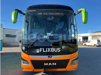 سياحية حافلة Man Lion's Coach: صور 2