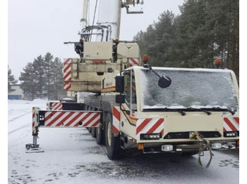رافعة لجميع التضاريس TEREX