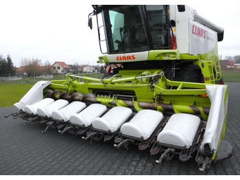 حصادات الذرة Claas CONSPEED 8-75 FC 2011 Rok , Nie Malowana, Stan Bardzo Dobry: صور 3
