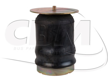 تعليق هوائي IRISBUS