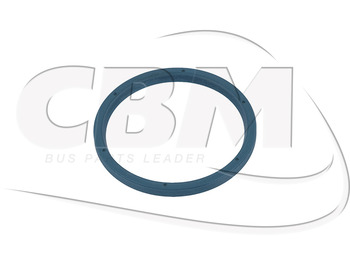 قيادة السيارة IRISBUS