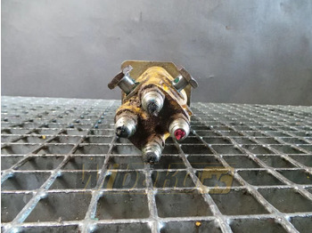 : صورة رأس الصفحة