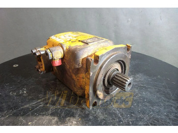 : صورة رأس الصفحة