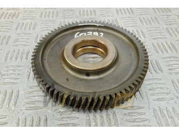 : صورة رأس الصفحة