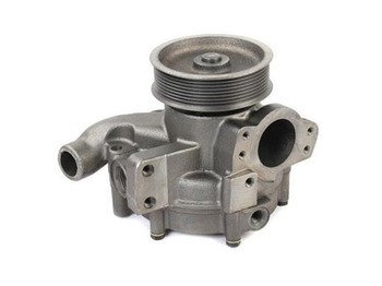 : صورة رأس الصفحة