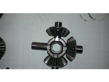 : صورة رأس الصفحة