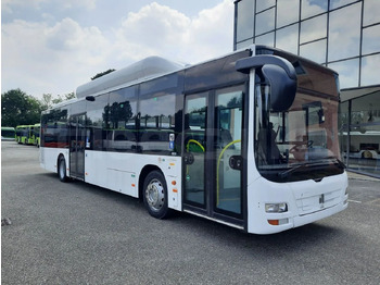 النقل الحضري MAN Lion's City A21
