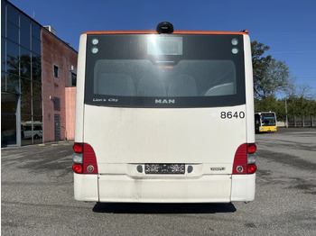 النقل الحضري Man Lion's City GL: صور 5