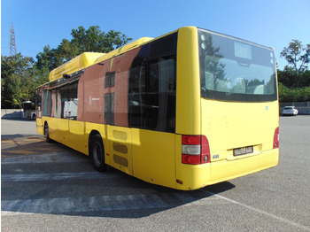N.2 MAN A21 CNG – Anno 2010 إيجار N.2 MAN A21 CNG – Anno 2010: صور 5