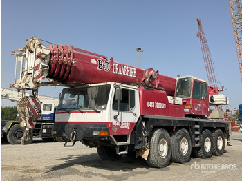 رافعة لجميع التضاريس LIEBHERR