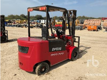 رافعة شوكية كهربائية RIPPA GPD30 3 ton: صور 3