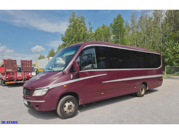 سياحية حافلة MERCEDES-BENZ Vario