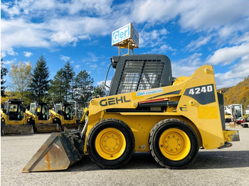 شيول صغير GEHL