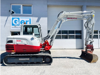 حفارة مصغرة Takeuchi TB290 (4024): صور 2