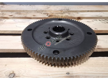 : صورة رأس الصفحة