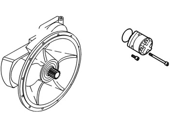 : صورة رأس الصفحة