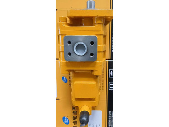 جديد مضخة هيدروليكية - اللودر بعجل Qingdao Promising Hydraulic Double Gear Pumps Fit China Loader: صور 5