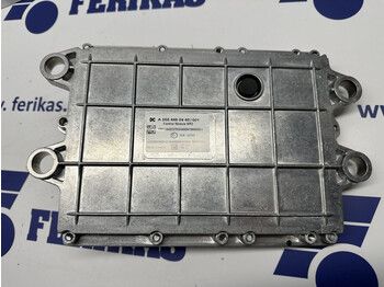 : صورة رأس الصفحة